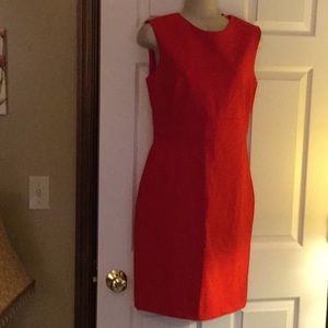 Zara Dress NWT